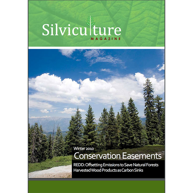 Silviculture Magazine